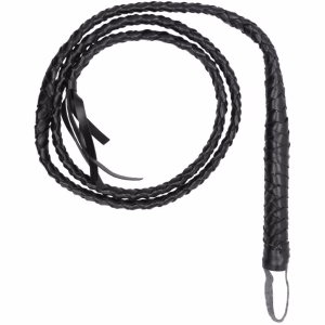 Twisted Whip